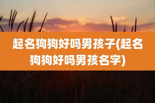 起名狗狗好吗男孩子(起名狗狗好吗男孩名字)