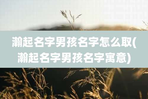 瀚起名字男孩名字怎么取(瀚起名字男孩名字寓意)