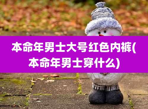本命年男士大号红色内裤(本命年男士穿什么)