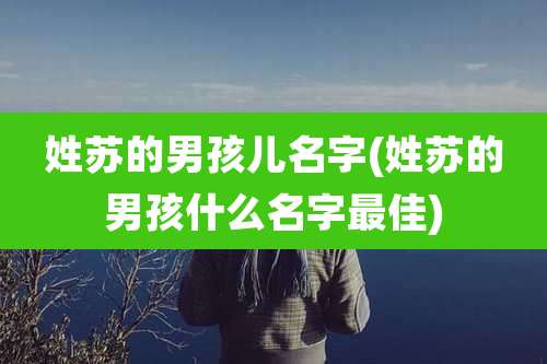 姓苏的男孩儿名字(姓苏的男孩什么名字最佳)