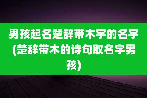 男孩起名楚辞带木字的名字(楚辞带木的诗句取名字男孩)