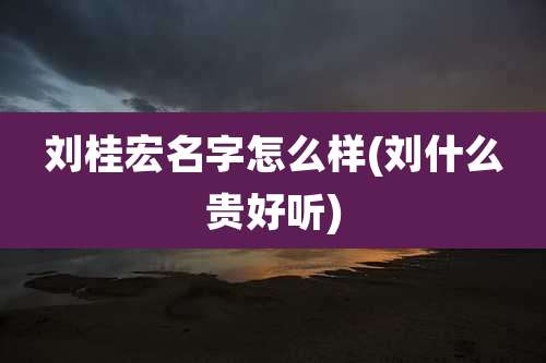 刘桂宏名字怎么样(刘什么贵好听)