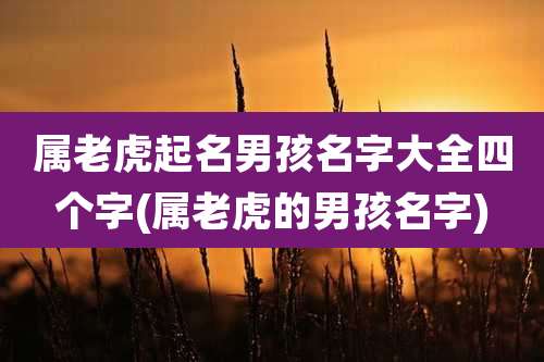 属老虎起名男孩名字大全四个字(属老虎的男孩名字)
