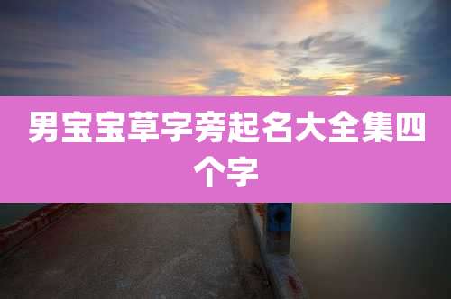 男宝宝草字旁起名大全集四个字