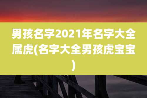 男孩名字2021年名字大全属虎(名字大全男孩虎宝宝)