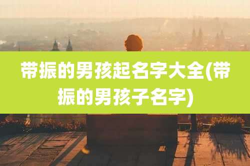 带振的男孩起名字大全(带振的男孩子名字)