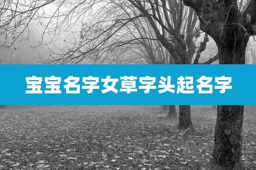 宝宝名字女草字头起名字