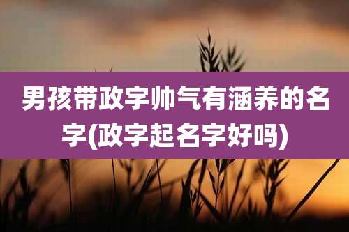 男孩带政字帅气有涵养的名字(政字起名字好吗)