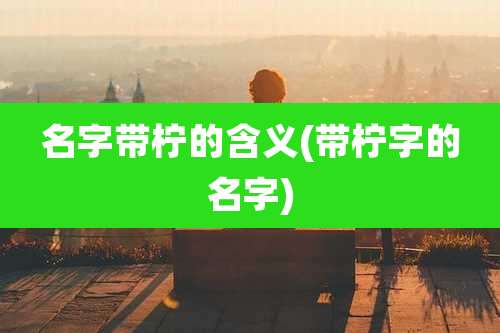 名字带柠的含义(带柠字的名字)