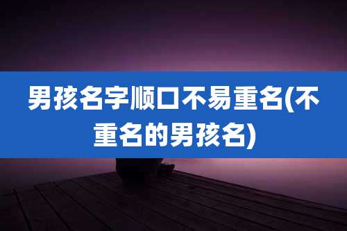 男孩名字顺口不易重名(不重名的男孩名)