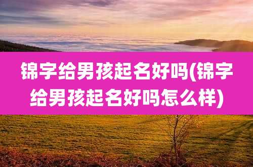 锦字给男孩起名好吗(锦字给男孩起名好吗怎么样)