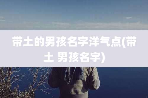 带土的男孩名字洋气点(带土 男孩名字)