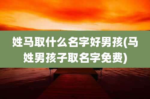 姓马取什么名字好男孩(马姓男孩子取名字免费)