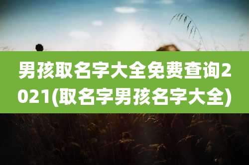男孩取名字大全免费查询2021(取名字男孩名字大全)