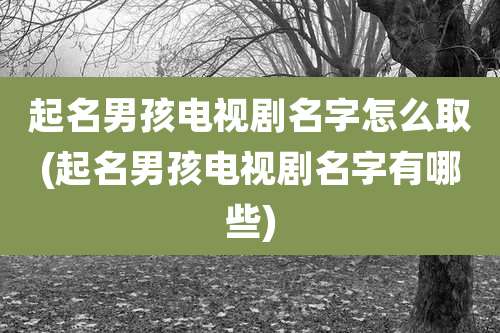 起名男孩电视剧名字怎么取(起名男孩电视剧名字有哪些)