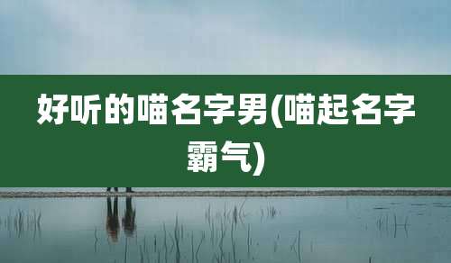 好听的喵名字男(喵起名字霸气)