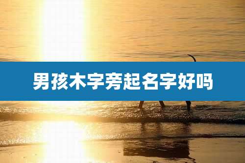 男孩木字旁起名字好吗