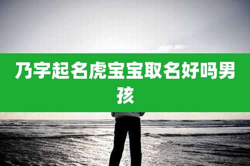 乃字起名虎宝宝取名好吗男孩