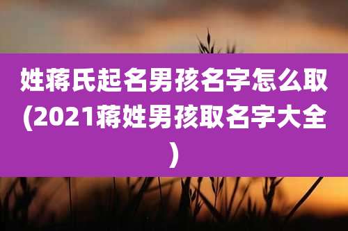姓蒋氏起名男孩名字怎么取(2021蒋姓男孩取名字大全)