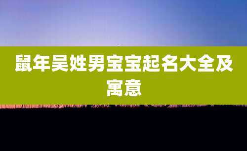 鼠年吴姓男宝宝起名大全及寓意