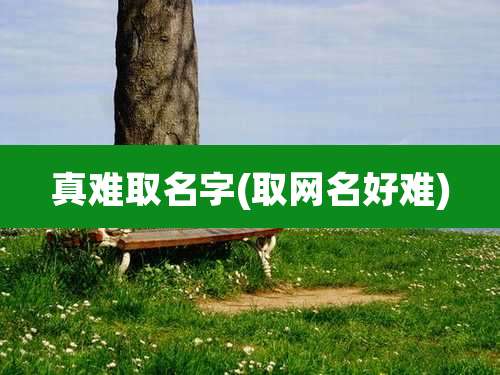 真难取名字(取网名好难)