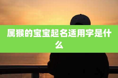 属猴的宝宝起名适用字是什么