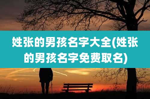 姓张的男孩名字大全(姓张的男孩名字免费取名)