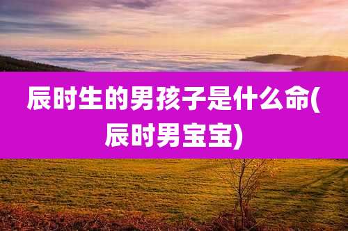辰时生的男孩子是什么命(辰时男宝宝)