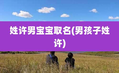 姓许男宝宝取名(男孩子姓许)