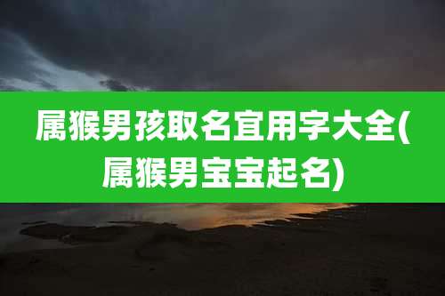 属猴男孩取名宜用字大全(属猴男宝宝起名)