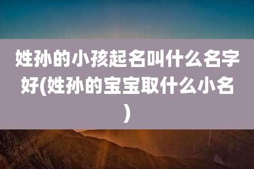 姓孙的小孩起名叫什么名字好(姓孙的宝宝取什么小名)
