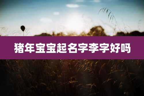 猪年宝宝起名字李字好吗