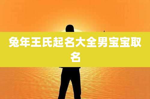 兔年王氏起名大全男宝宝取名