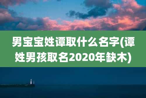 男宝宝姓谭取什么名字(谭姓男孩取名2020年缺木)