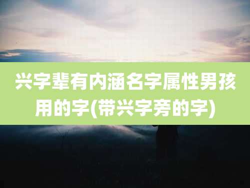 兴字辈有内涵名字属性男孩用的字(带兴字旁的字)
