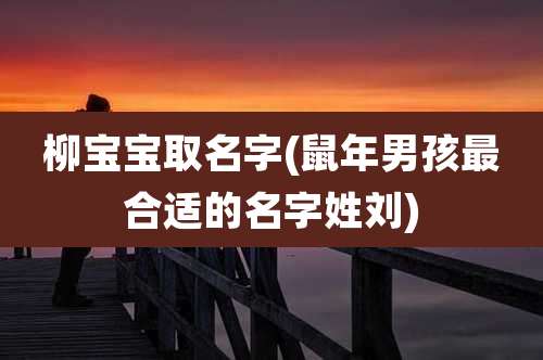 柳宝宝取名字(鼠年男孩最合适的名字姓刘)