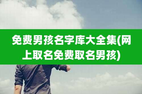 免费男孩名字库大全集(网上取名免费取名男孩)