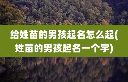 给姓苗的男孩起名怎么起(姓苗的男孩起名一个字)