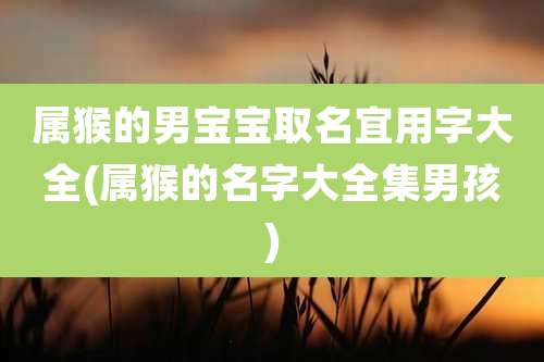 属猴的男宝宝取名宜用字大全(属猴的名字大全集男孩)