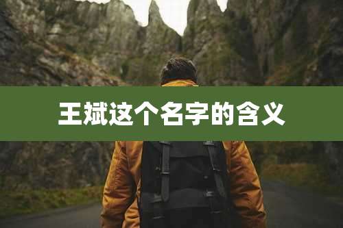 王斌这个名字的含义
