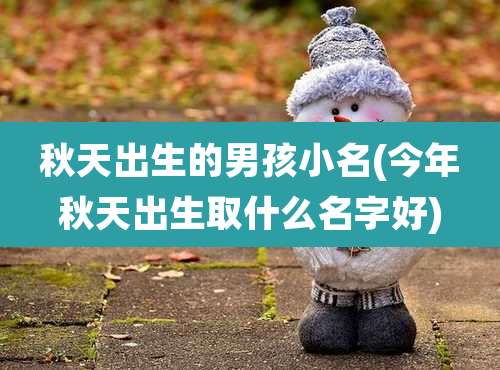 秋天出生的男孩小名(今年秋天出生取什么名字好)