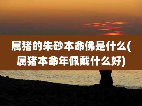 属猪的朱砂本命佛是什么(属猪本命年佩戴什么好)