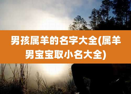 男孩属羊的名字大全(属羊男宝宝取小名大全)