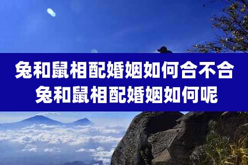 兔和鼠相配婚姻如何合不合 兔和鼠相配婚姻如何呢
