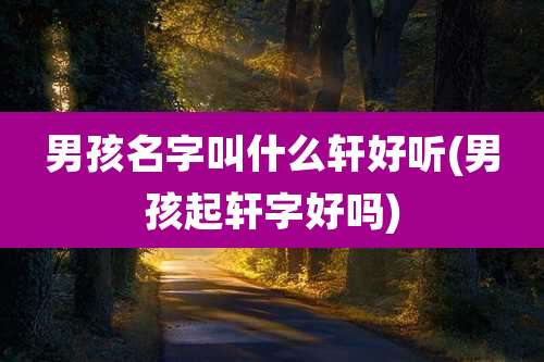 男孩名字叫什么轩好听(男孩起轩字好吗)