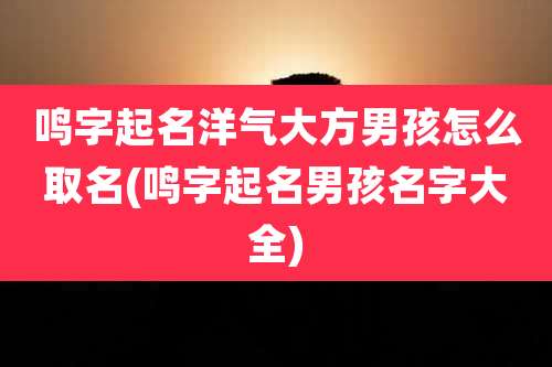 鸣字起名洋气大方男孩怎么取名(鸣字起名男孩名字大全)