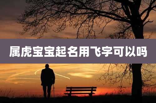 属虎宝宝起名用飞字可以吗