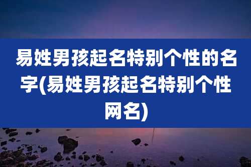 易姓男孩起名特别个性的名字(易姓男孩起名特别个性网名)