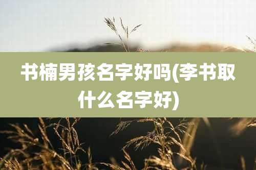 书楠男孩名字好吗(李书取什么名字好)