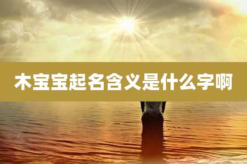 木宝宝起名含义是什么字啊
